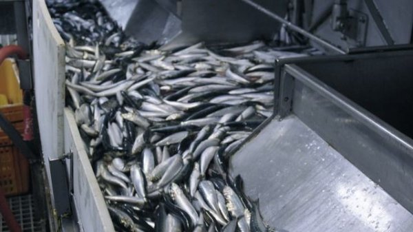 PETR I 2025 фильм