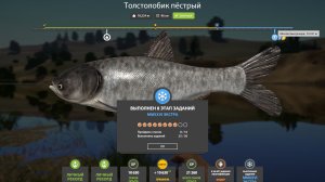 НОВОГОДНИЕ ЗАДАНИЯ ЭКСТРА 8 ЭТАП - РУССКАЯ РЫБАЛКА 4