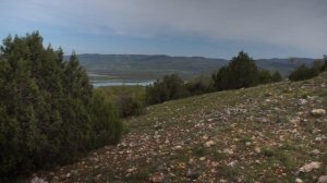 Тимур и его команда 1 мая 2025г.mov