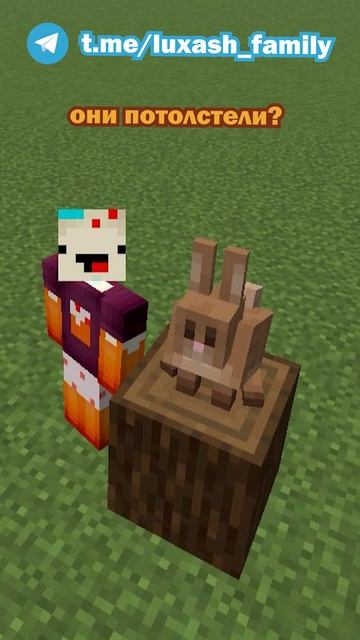 Почему в снапшоте кролик майнкрафт потолстел? | майнкрафт снапшот 26.1