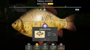 КАРАСЬ ЗОЛОТОЙ И СЕРЕБРЯНЫЙ ТРОФЕИ!!!КОМАРИНОЕ ОЗЕРО - РУССКАЯ РЫБАЛКА 4