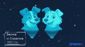 Урок Животные в космосе