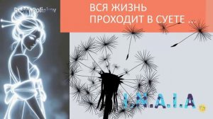 Вся жизнь проходит в суете