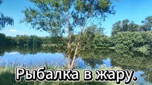 Рыбалка. Жара.