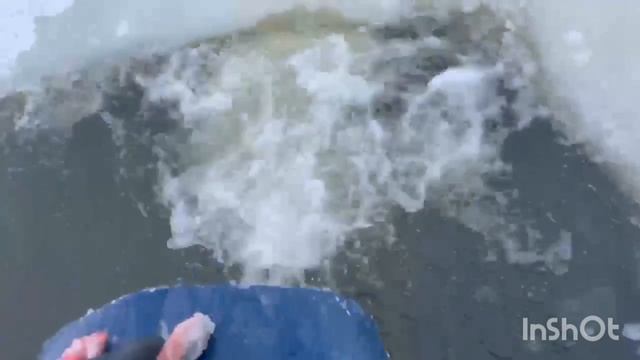 1000138328.mp4 смотреть онлайн