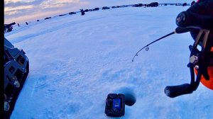ТОЛПА ГОНЯЕТ СУДАКА ВЕСЬ ДЕНЬ! РЫБА В КАЖДОЙ ЛУНКЕ!ПЕРВАЯ РЫБАЛКА В НОВОМ ГОДУ 2026