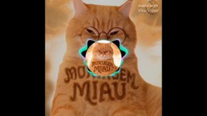 PHONK AU MI GATITO MIAU MIAU (смотри описание 👇)