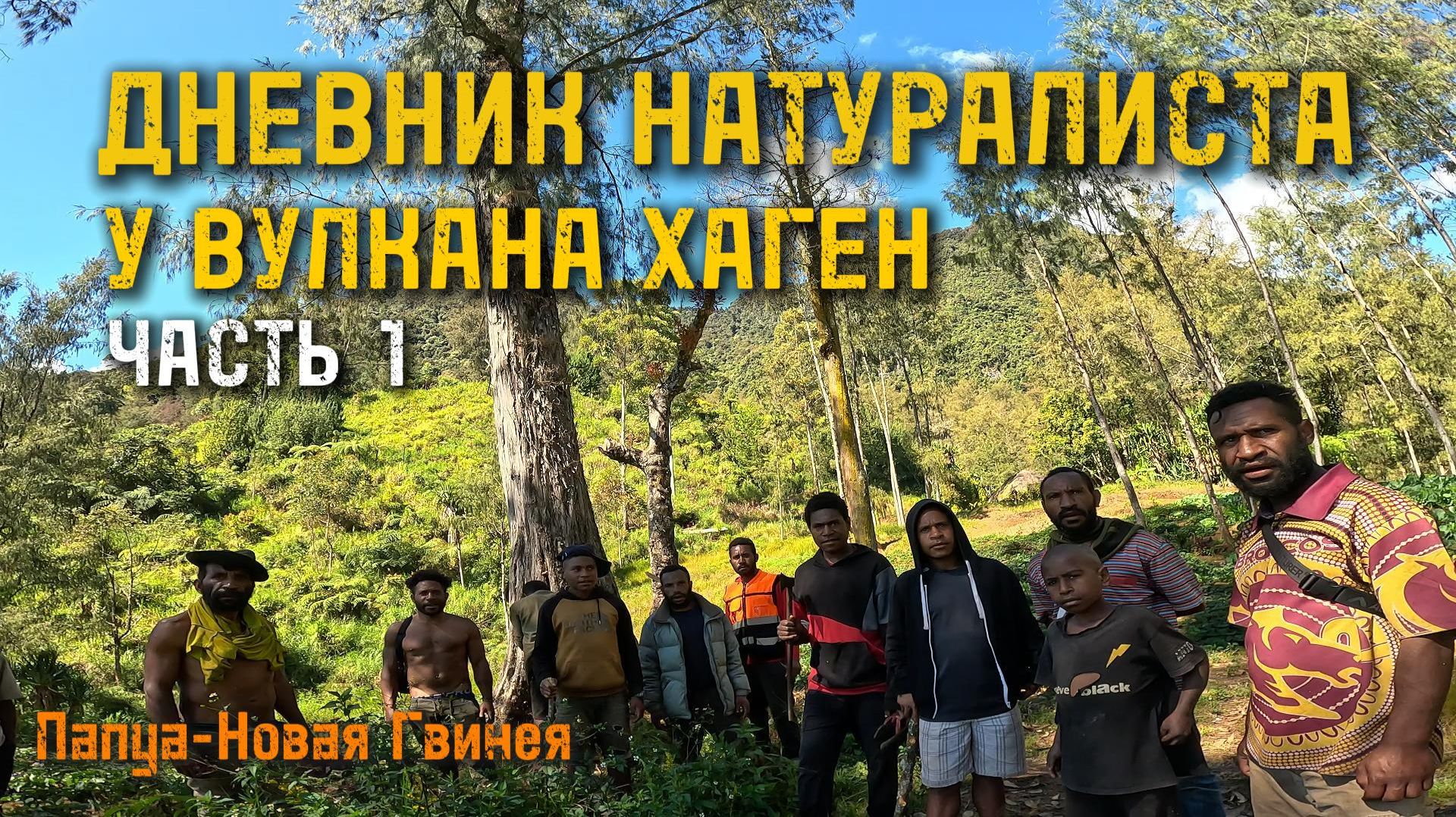 Дневник натуралиста I У вулкана Хаген I Экспедиция в Папуа-Новую Гвинею. Часть 1