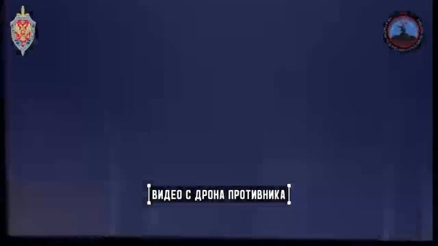 Системой РЭБ «Купол Донбасса» за неделю предотвращены 252 террористические атаки со стороны проти... смотреть онлайн