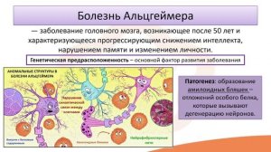 Лекция 6.5 Деменция и болезнь Альцгеймера