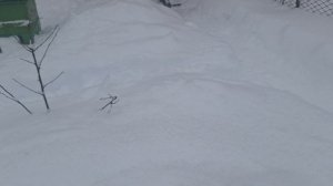 Вторая половина зимовки идёт. Как чувствуют, себя, пчелы, работает ли вентиляция?