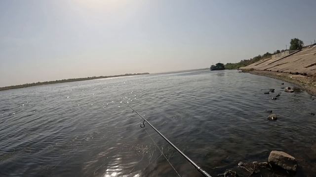 Ловля селёдки на блесну