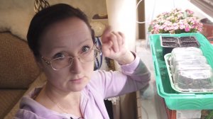 11-01-2026 Моя пушистая рассада эустомы;)) Петуния скоро зацветет))