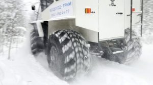 Вездеход ТРИМ в зимнем лесу