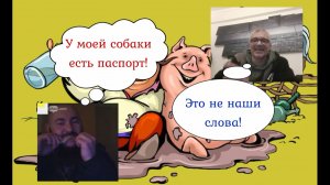 Два ярких представителя неизлечимого окрАинства 09.01.25