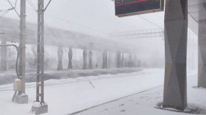 Сильнейший снегопад 9 января 2026 года. Южный циклон Улли-Фрэнсис. Москва.