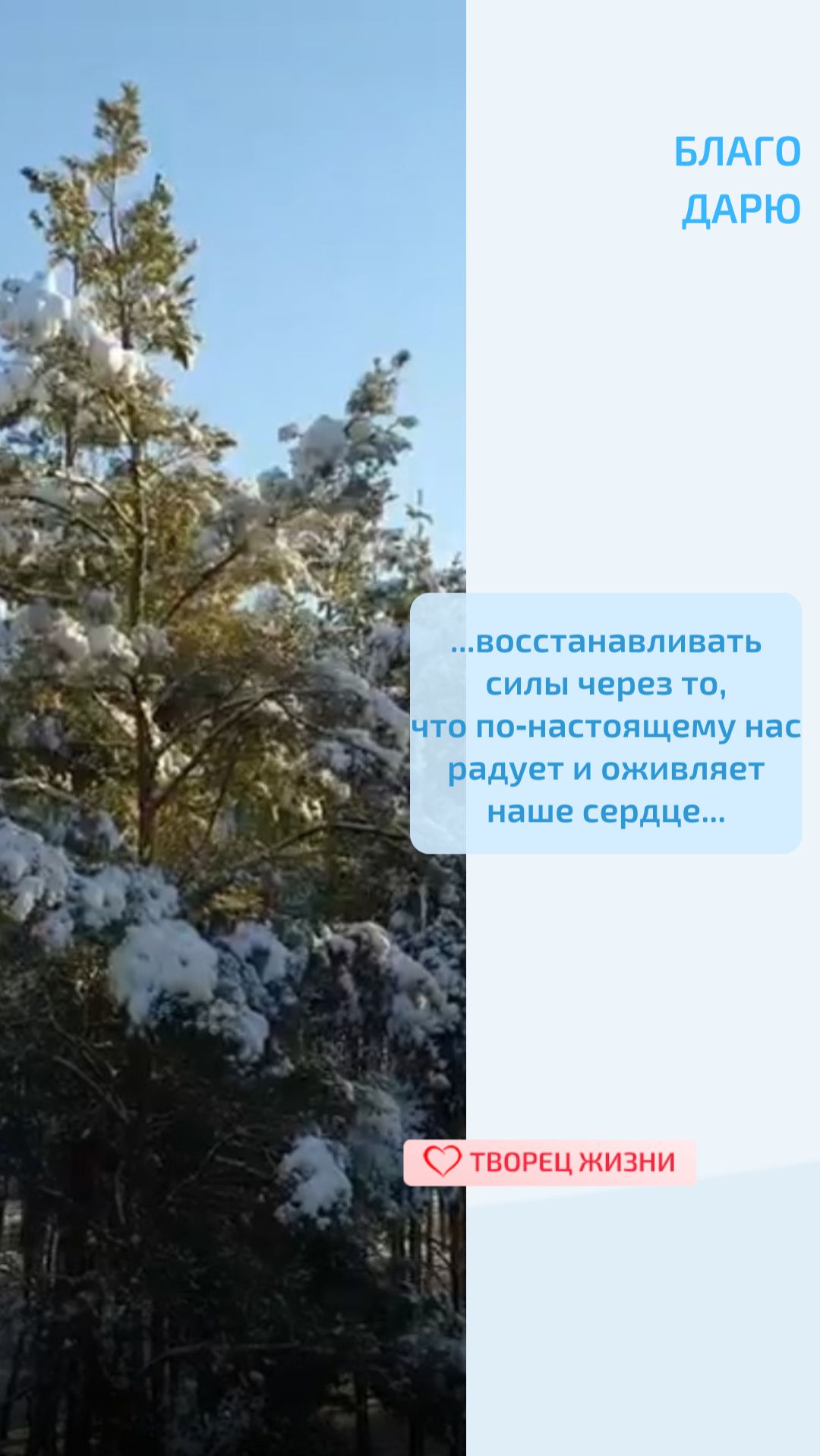 Благодарю Творца за бесценные моменты, которые можно посвятить любимым занятиям!