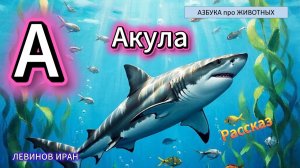 Алфавит Азбука Просто: Мир животных и птиц в алфавитном порядке. А. Акула. Автор поэт Левинов Иран