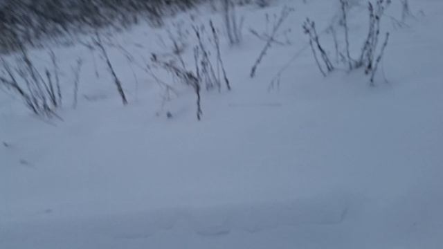 ракета персей.  канал немножко экшена