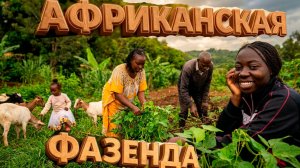 АФРИКАНСКАЯ ФАЗЕНДА ИЗНУТРИ, ЧТО ВЫРАЩИВАЮТ/ КАК ЖИВЁТ КЕНИЙКА НА ПЛАНТАЦИИ, БОБЫ КОЗЫ И ДЖУНГЛИ арх