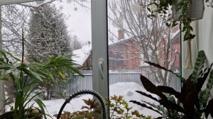 Взяла за правило и мужа приобщаю. Большое дело сделала. Холодец из печёной курицы