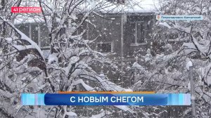 Новости Камчатки за 12 января 2026 года