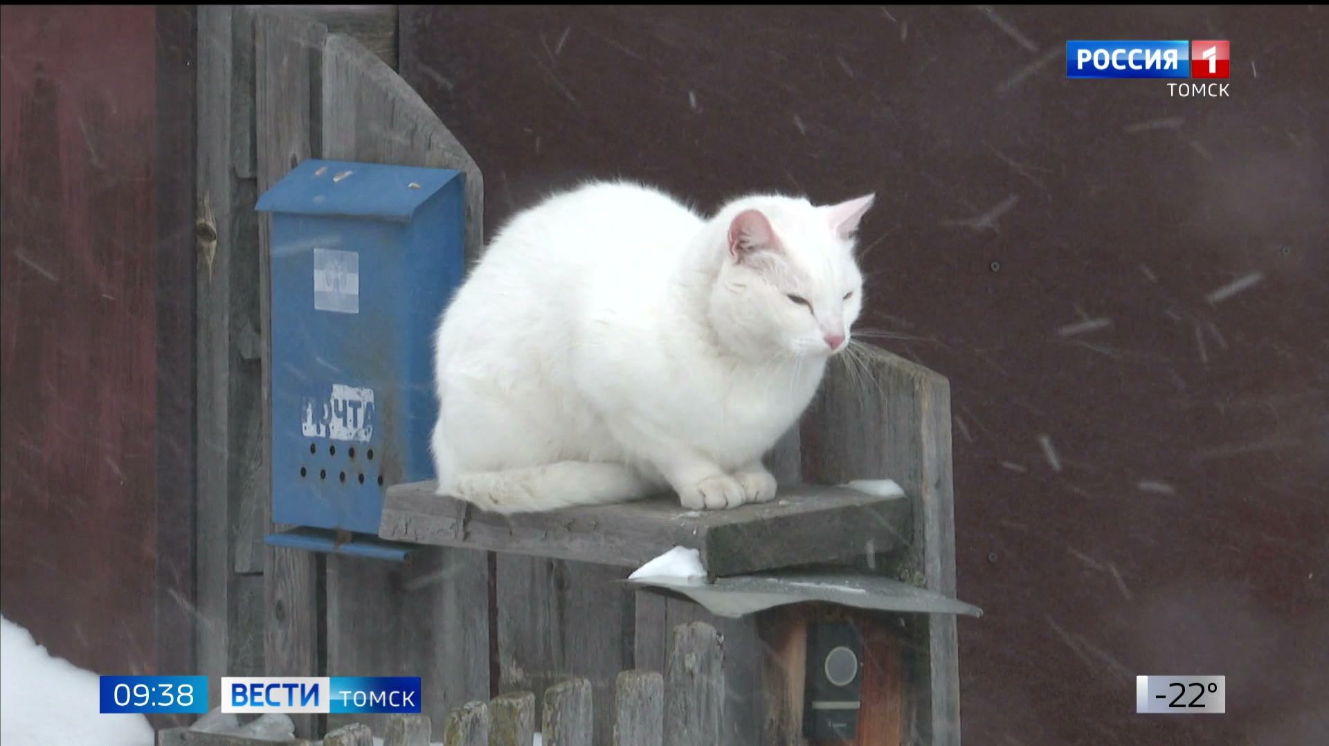 Вести-Томск, выпуск от 12.01.2026 09:30 смотреть онлайн