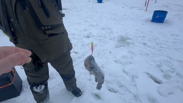 copy_ED5DD64E-AB83-4C21-A439-7BCDE1EF31CB смотреть онлайн