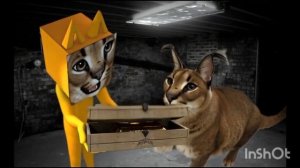 В Shlepdoff remake добавятся боксы🤟✌️