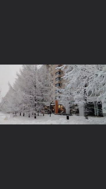 Северная красота. Зимушка зима