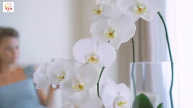 A LA CARTE DA NANG BEACH 4* | 316000.ru - лучшие цены на Ваши путешествия! смотреть онлайн