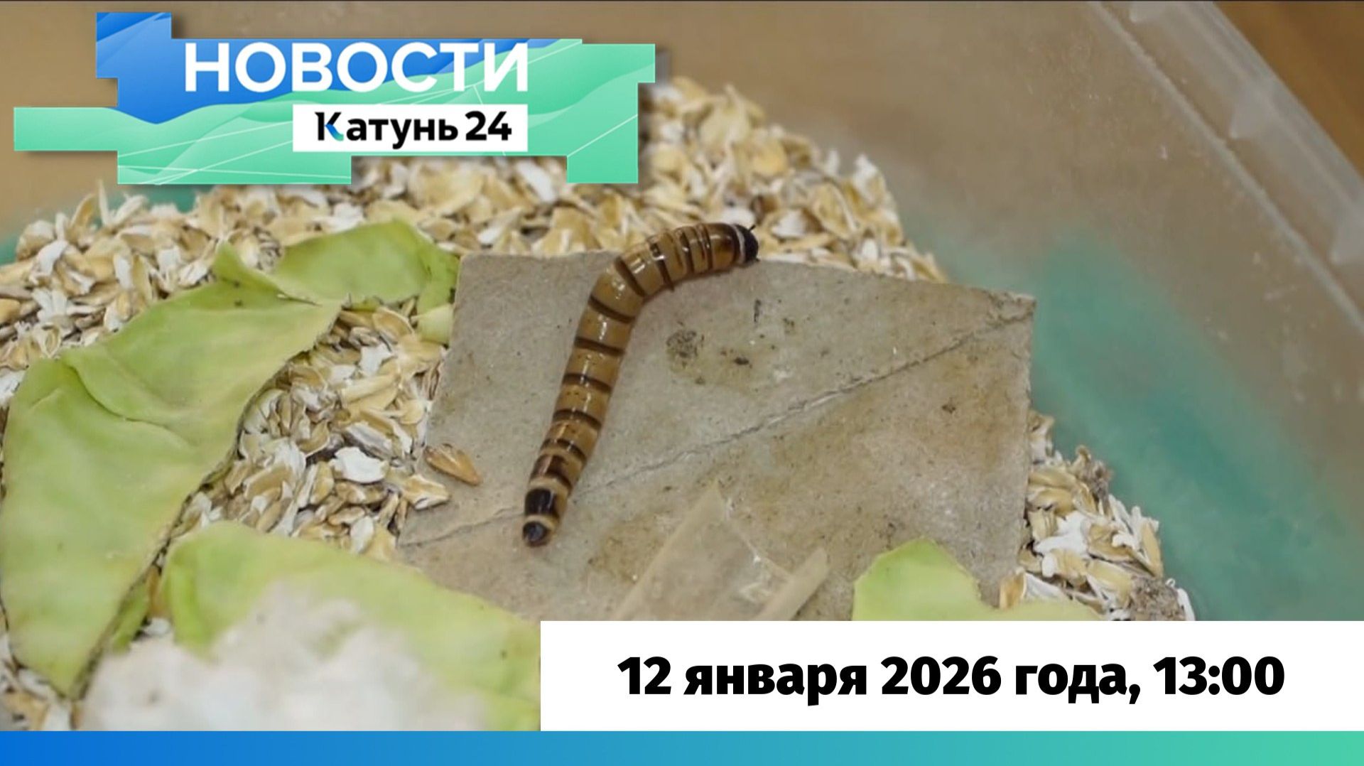 Новости Алтайского края 12 января 2026 года, выпуск в 13:00 смотреть онлайн