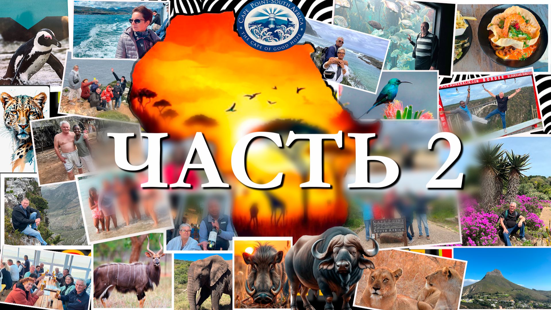 Как полюбить Африку за 2 недели. Часть 2. смотреть онлайн