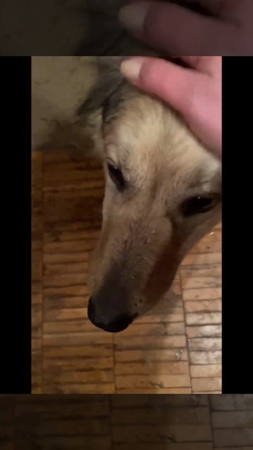 НАШИ «ВЫПУСКНИКИ». ДОМ, МИЛЫЙ ДОМ 🏡