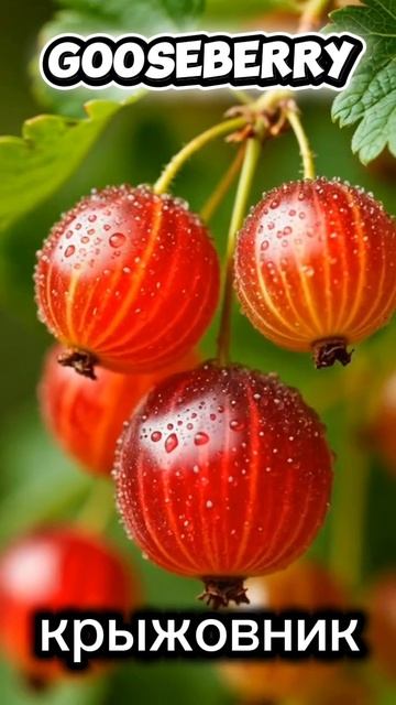 Ягоды#английский#berry-berries смотреть онлайн