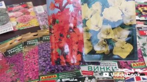 Была настроена на большее💪А вышло как всегда...Сею первые семена цветов 💐