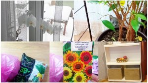 10 января. Покупки.Цены на семена - космические. Рукодельничаю а свободное время.Ужин.