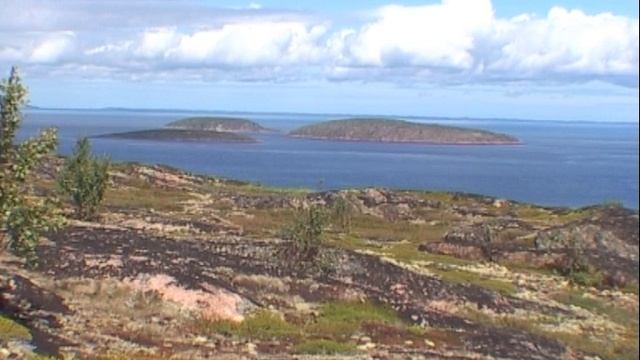 ©  "Русский. Вдали  острова Сфинкса Жилой Средний с Лодейного" 2006