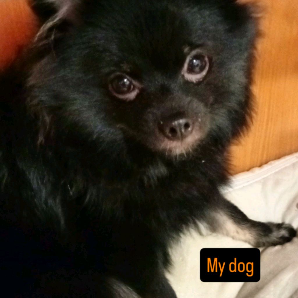 НОЧНОЙ СТРИМ 2 смотреть онлайн