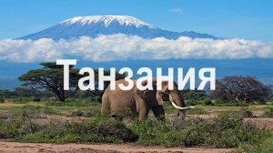 Танзания 4K - живописный фильм о дикой природе под африканскую музыку