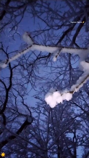 #зимнее #небо #лес #кумыснаяполяна #саратов #вечернеенебо #волшебно #событиедня #10января2026год #кр смотреть онлайн