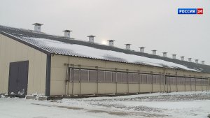 Губерния. СПК Колхоз «Зерновой» (14.01.2026)