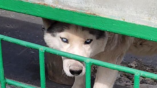 Когда ты в засаде смотреть онлайн