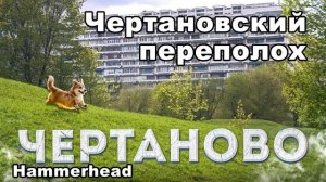 Hammerhead  ЧЕРТАНОВСКИЙ ПЕРЕПОЛОХ