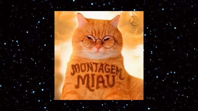 фонк MONTAGEM MIAU