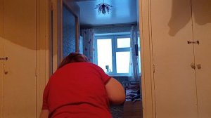 Домашние дела 😏