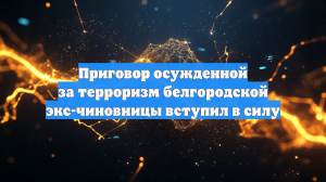 Вступил в силу приговор в отношении белгородской экс-чиновницы Шинкарук