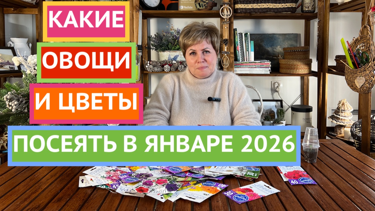 НЕ ПРОПУСТИТЕ! ЭТИ ЦВЕТЫ И ОВОЩИ МЫ СЕЕМ В ЯНВАРЕ! смотреть онлайн