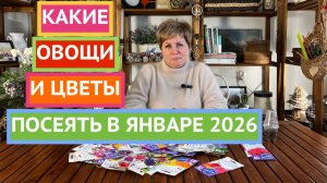 НЕ ПРОПУСТИТЕ! ЭТИ ЦВЕТЫ И ОВОЩИ МЫ СЕЕМ В ЯНВАРЕ!