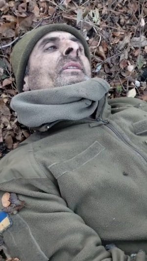 🔴Пленный ВСУ🔴Незаконно добывал жёлуди, наелся и отравился.🐖🌰🔴